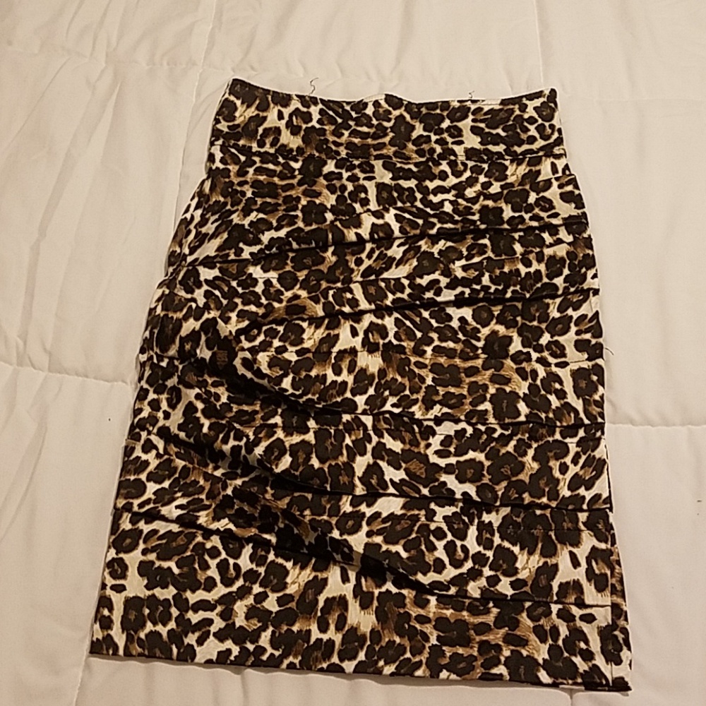 Pencil Skirt